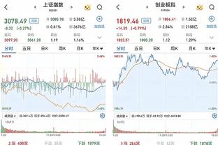 开云app官网入口手机版苹果